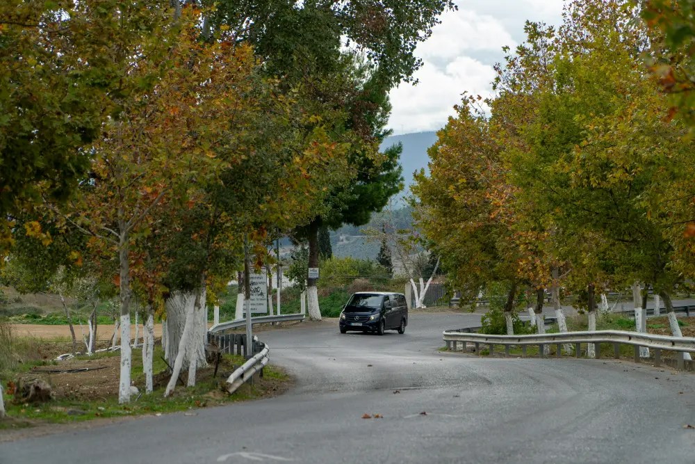 Ein VW Nutzfahrzeug fährt auf einer von Bäumen gesäumten Straße in einer herbstlichen Landschaft